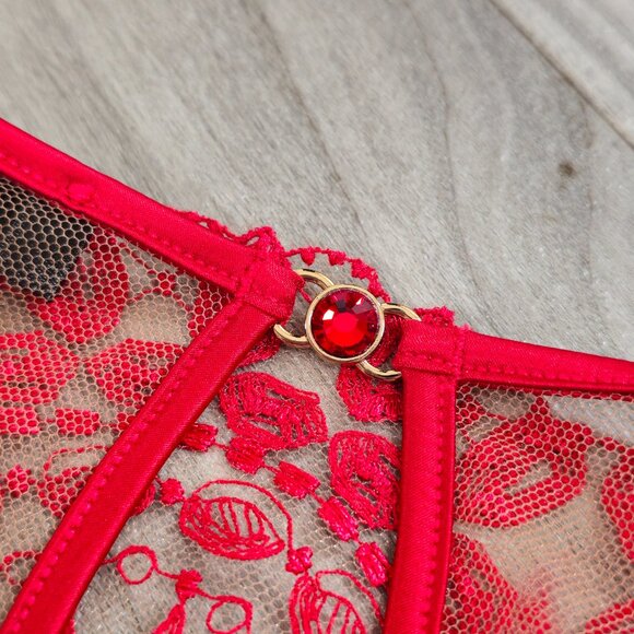 NWT Honey Birdette Ruby Raspberry Red Brief Panty Size Small - Picture 5 of 6